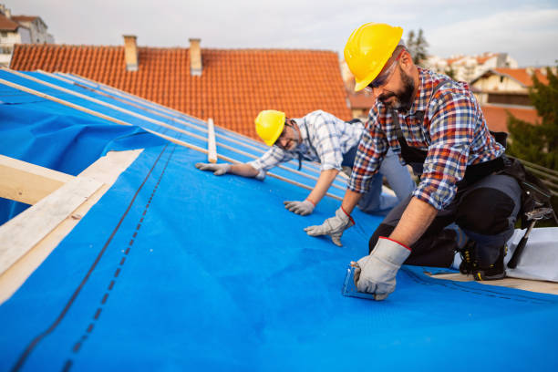 Best Commercial Roofing Services  in Candlewick Lake, IL